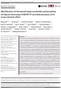 Cover page: Identification of functional single nucleotide polymorphism of Populus trichocarpa PtrEPSP-TF and determination of its transcriptional effect.