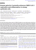 Cover page: Human galectin-9 potently enhances SARS-CoV-2 replication and inflammation in airway epithelial cells