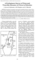 Cover page: A Preliminary Survey of Virus and Virus-like Diseases of Citrus in Palestine