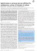 Cover page: Opioid system is necessary but not sufficient for antidepressive actions of ketamine in rodents