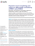 Cover page: Dopamine neuron morphology and output are differentially controlled by mTORC1 and mTORC2