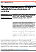 Cover page: YAP-driven malignant reprogramming of oral epithelial stem cells at single cell resolution