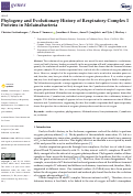 Cover page: Phylogeny and Evolutionary History of Respiratory Complex I Proteins in Melainabacteria