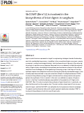 Cover page: SbCOMT (Bmr12) is involved in the biosynthesis of tricin-lignin in sorghum