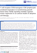 Cover page: T cell receptor (TCR)-transgenic CD8 lymphocytes rendered insensitive to transforming growth factor beta (TGFß) signaling mediate superior tumor regression in an animal model of adoptive cell therapy