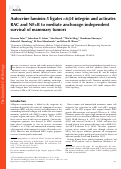 Cover page: Autocrine laminin-5 ligates α6β4 integrin and activates RAC and NFκB to mediate anchorage-independent survival of mammary tumors