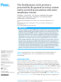 Cover page: The Xanthomonas Ax21 protein is processed by the general secretory system and is secreted in association with outer membrane vesicles