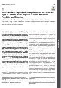 Cover page: Ncor2/PPARα-Dependent Upregulation of MCUb in the Type 2 Diabetic Heart Impacts Cardiac Metabolic Flexibility and Function.