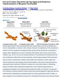 Cover page: Iron and Carbon Dynamics during Aging and Reductive Transformation of Biogenic Ferrihydrite