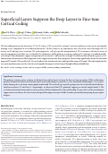 Cover page: Superficial Layers Suppress the Deep Layers to Fine-tune Cortical Coding