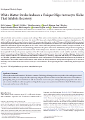 Cover page: White Matter Stroke Induces a Unique Oligo-Astrocyte Niche That Inhibits Recovery