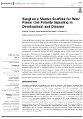 Cover page: Vangl as a Master Scaffold for Wnt/Planar Cell Polarity Signaling in Development and Disease