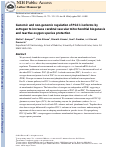 Cover page: Genomic and non-genomic regulation of PGC1 isoforms by estrogen to increase cerebral vascular mitochondrial biogenesis and reactive oxygen species protection