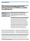 Cover page: SALL1 enforces microglia-specific DNA binding and function of SMADs to establish microglia identity.