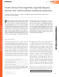 Cover page: Protein kinase Gin4 negatively regulates flippase function and controls plasma membrane asymmetry