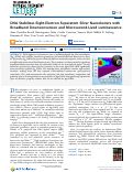 Cover page: DNA Stabilizes Eight-Electron Superatom Silver Nanoclusters with Broadband Downconversion and Microsecond-Lived Luminescence