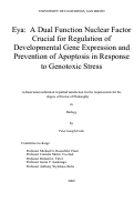 Cover page: Eya : a dual function nuclear factor crucial for regulation of developmental gene expression and prevention of apoptosis in response to genotoxic stress