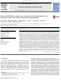 Cover page: Role of RAS/Wnt/β-catenin axis activation in the pathogenesis of podocyte injury and tubulo-interstitial nephropathy