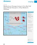 Cover page: Metabolome Changes during In&nbsp;Vivo Red Cell Aging Reveal Disruption of Key Metabolic Pathways