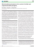 Cover page: Mitochondrial proteostasis in the context of cellular and organismal health and aging