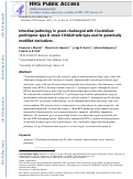 Cover page: Intestinal pathology in goats challenged with Clostridium perfringens type D strain CN1020 wild-type and its genetically modified derivatives.