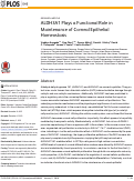 Cover page: ALDH3A1 Plays a Functional Role in Maintenance of Corneal Epithelial Homeostasis