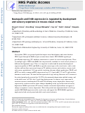 Cover page: Neuregulin and ErbB expression is regulated by development and sensory experience in mouse visual cortex.