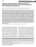 Cover page: Structural and biochemical changes underlying a keratoderma-like phenotype in mice lacking suprabasal AP1 transcription factor function