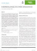 Cover page: Endothelial primary cilia inhibit atherosclerosis