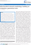 Cover page: Mitochondrial network morphology: building an integrative, geometrical view