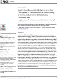 Cover page: Single-strand annealing between inverted DNA repeats: Pathway choice, participating proteins, and genome destabilizing consequences