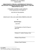 Cover page: Hematopoietic Stem Cells Differentiate Through A Multipotent Progenitor Before Generating All Mature Hematopoietic Cells