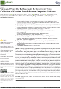 Cover page: Virus and Virus-like Pathogens in the Grapevine Virus Collection of Croatian Autochthonous Grapevine Cultivars