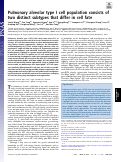 Cover page: Pulmonary alveolar type I cell population consists of two distinct subtypes that differ in cell fate