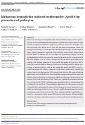 Cover page: Mitigating hemoglobin-induced nephropathy: ApoHb-hp protection of podocytes.