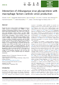 Cover page: Interaction of chikungunya virus glycoproteins with macrophage factors controls virion production
