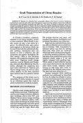 Cover page: Graft Transmission of Citrus Measles
