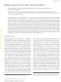 Cover page: Modes of Operation of the BKCa Channel β2 Subunit