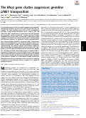 Cover page: The Rhox gene cluster suppresses germline LINE1 transposition