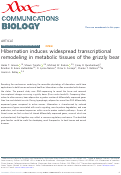 Cover page: Hibernation induces widespread transcriptional remodeling in metabolic tissues of the grizzly bear.