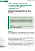 Cover page: GRHL3 activates FSCN1 to relax cell-cell adhesions between migrating keratinocytes during wound reepithelialization