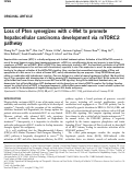 Cover page: Loss of Pten synergizes with c-Met to promote hepatocellular carcinoma development via mTORC2 pathway