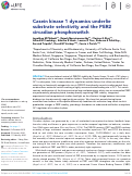 Cover page: Casein kinase 1 dynamics underlie substrate selectivity and the PER2 circadian phosphoswitch