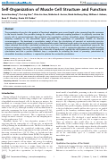 Cover page: Self-Organization of Muscle Cell Structure and Function