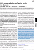 Cover page: RNA sectors and allosteric function within the ribosome