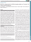 Cover page: BAZ1B is dispensable for H2AX phosphorylation on Tyrosine 142 during spermatogenesis