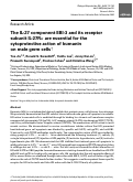 Cover page: The IL-27 component EBI-3 and its receptor subunit IL-27Rα are essential for the cytoprotective action of humanin on male germ cells†