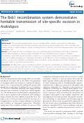 Cover page: The Bxb1 recombination system demonstrates heritable transmission of site-specific excision in Arabidopsis
