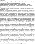 Cover page: Surface Adsorption of Protein Corona Controls the Cell Internalization Mechanism of Multicomponent Lipoplexes in Serum