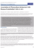 Cover page: Association of <i>Plasmodium falciparum</i> with Human Endothelial Cells <i>in vitro</i>.